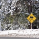 Winter Driving
