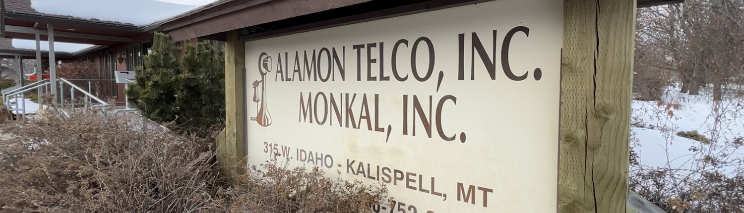 Alamon Telco, Inc.